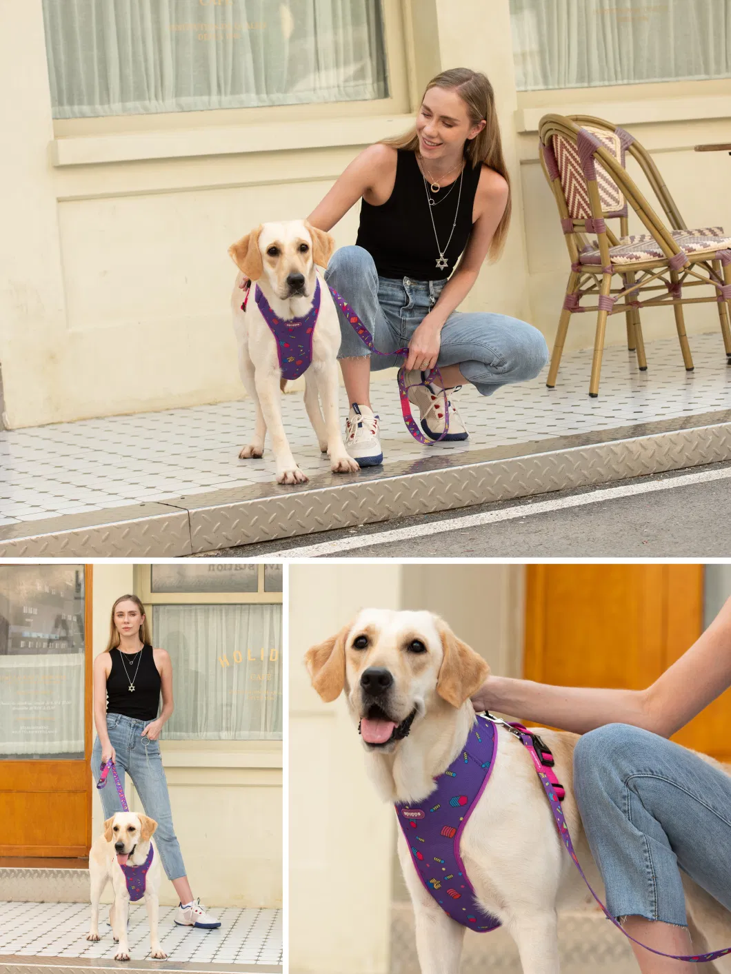 Dog Pet Air Mesh Chest Vest Breathable Adjustable Harness